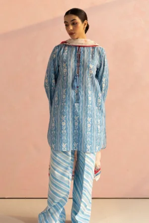 Coco By Zara Shahjahan D9B RUBY