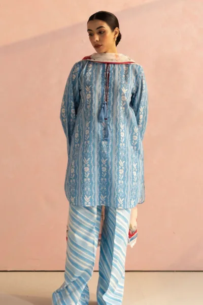 Coco By Zara Shahjahan D9B Ruby