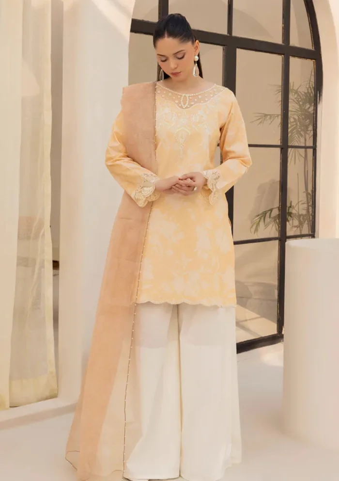 Esra DEP25 02 Dastaan Luxury Lawn Collection - Image 3