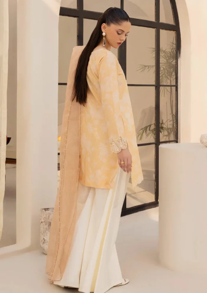 Esra DEP25 02 Dastaan Luxury Lawn Collection - Image 5