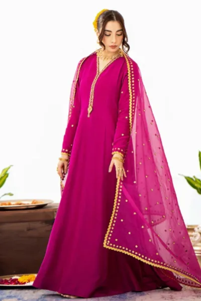 Fozia Khalid FS24 04 Daneen