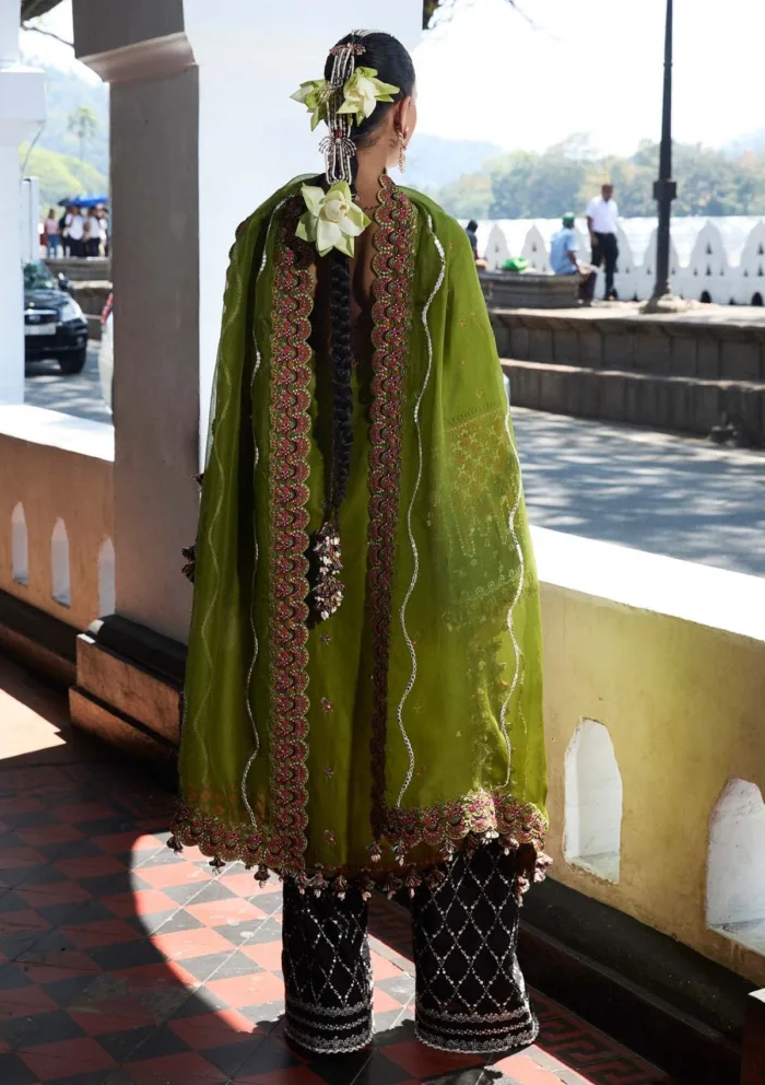 Hussain Rehar Abass Luxury Lawn 25 Collection - Image 2