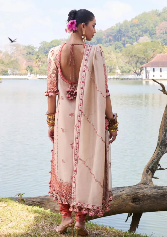 Hussain Rehar Mari Luxury Lawn 25 Collection - Image 2