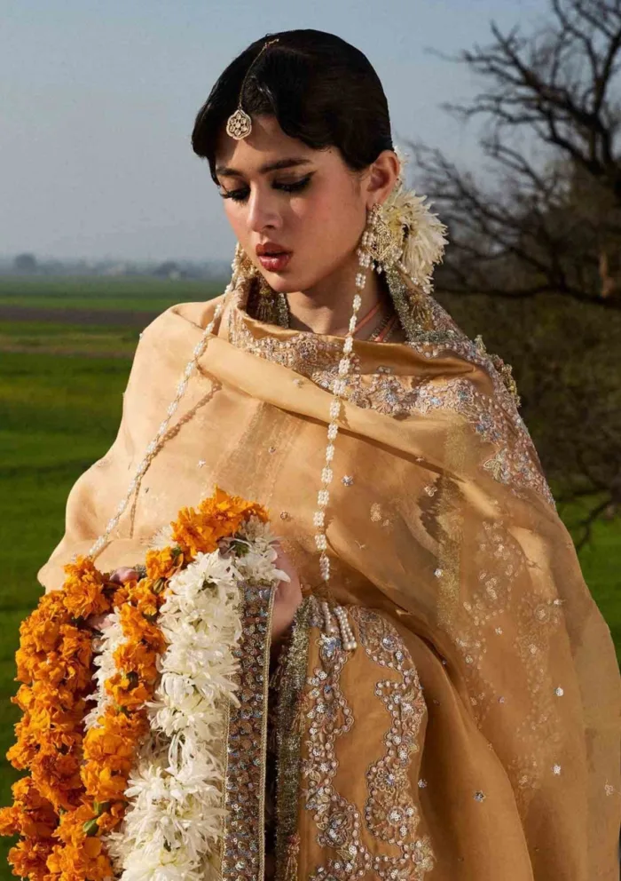 Hussain Rehar Sundal Darlings Festive 25 Luxury Lawn Collection - Image 2