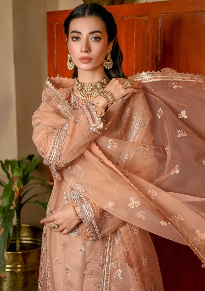 Imran Ramzan IR 8 ARZU Rubaru Luxury Lawn Collection - Image 3
