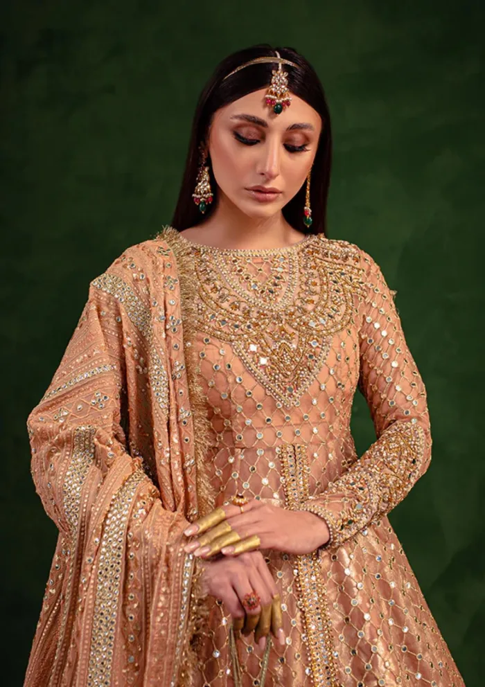 Maria Osama Khan Salma Sitara -VASL Luxury Lawn Collection - Image 3