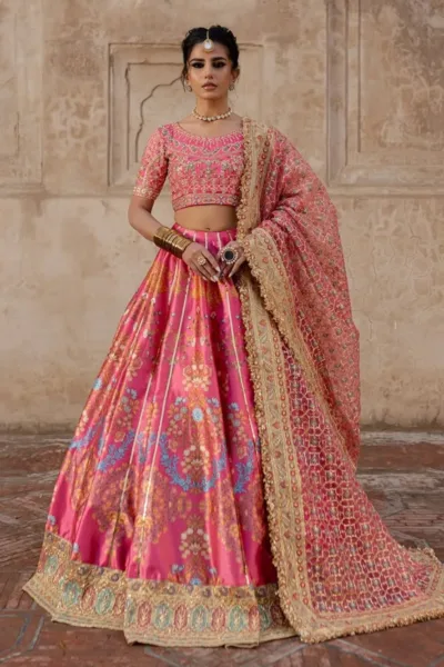 Maria Osama Khan Wedding Safiya