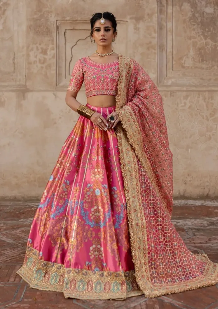 Maria Osama Khan Wedding Safiya