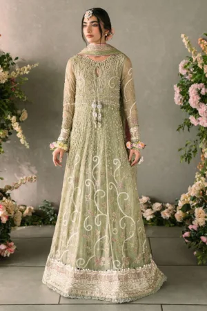 Mushq MM24 10 Namar