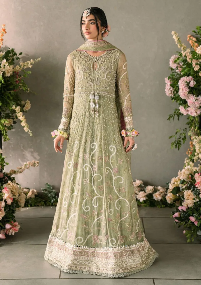 Mushq MM24 10 Namar