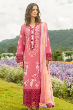 Mushq Secret Garden Garden of Dreams