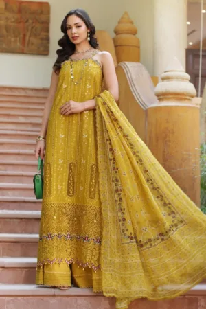Noor By Saadia Asad Handwork Laserkari NEH25 5A