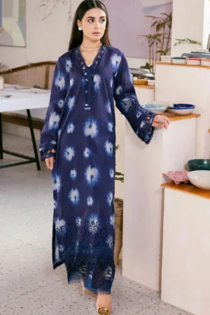 Nureh Chikankari Summer 2 Pcs NBCS25 156S