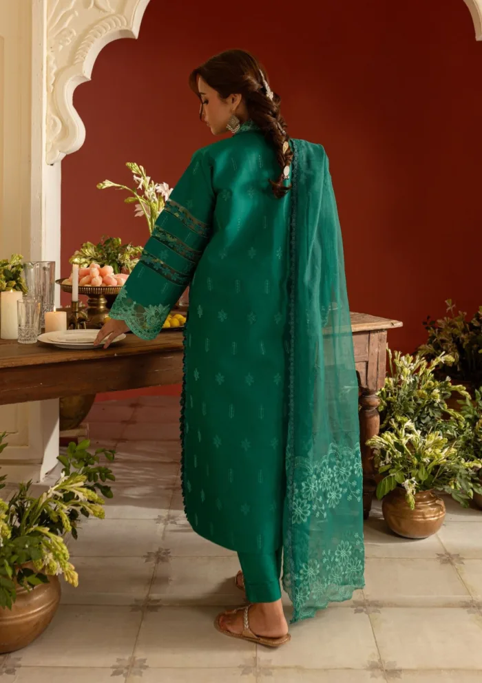Parishay DSC 14 Dastan e Noor Luxury Lawn Collection - Image 3