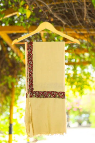 Pashmina Kashmiri Border Shawl D 29