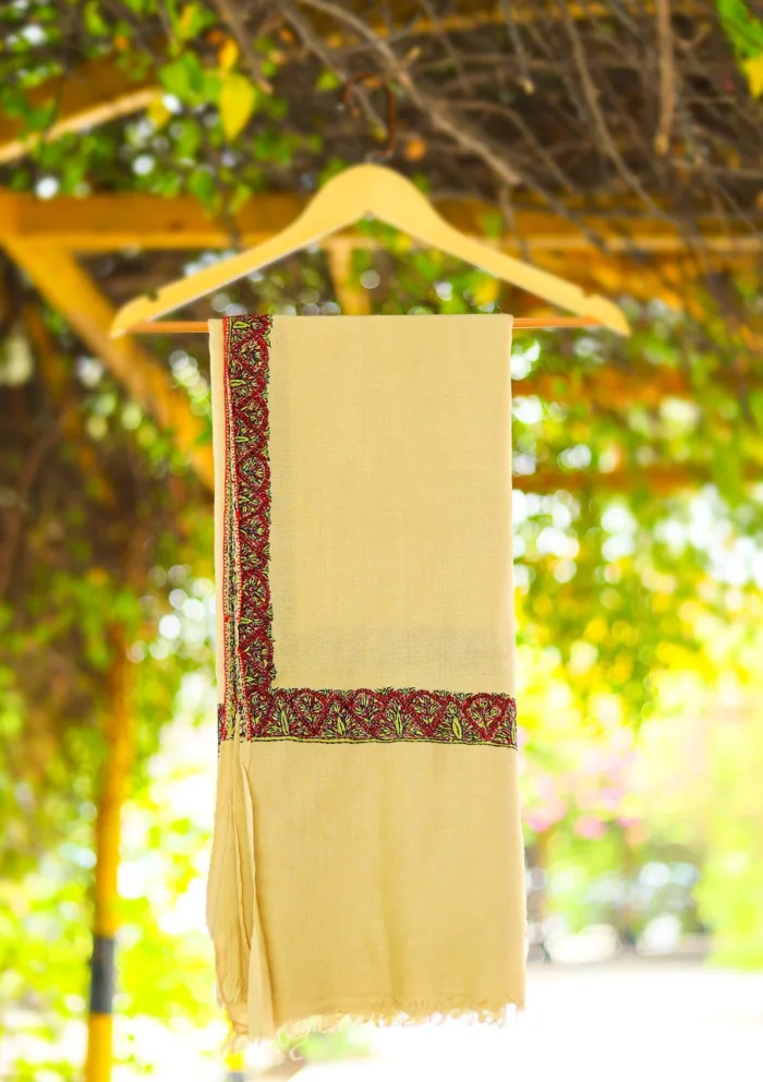 Pashmina Kashmiri Border Shawl D 29