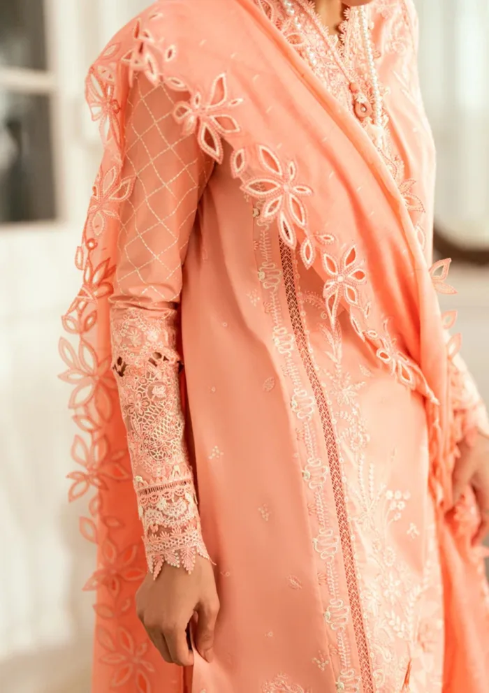 Qalamkar Eid Edit 25 SB 12 Jafa Luxury Lawn Collection - Image 7
