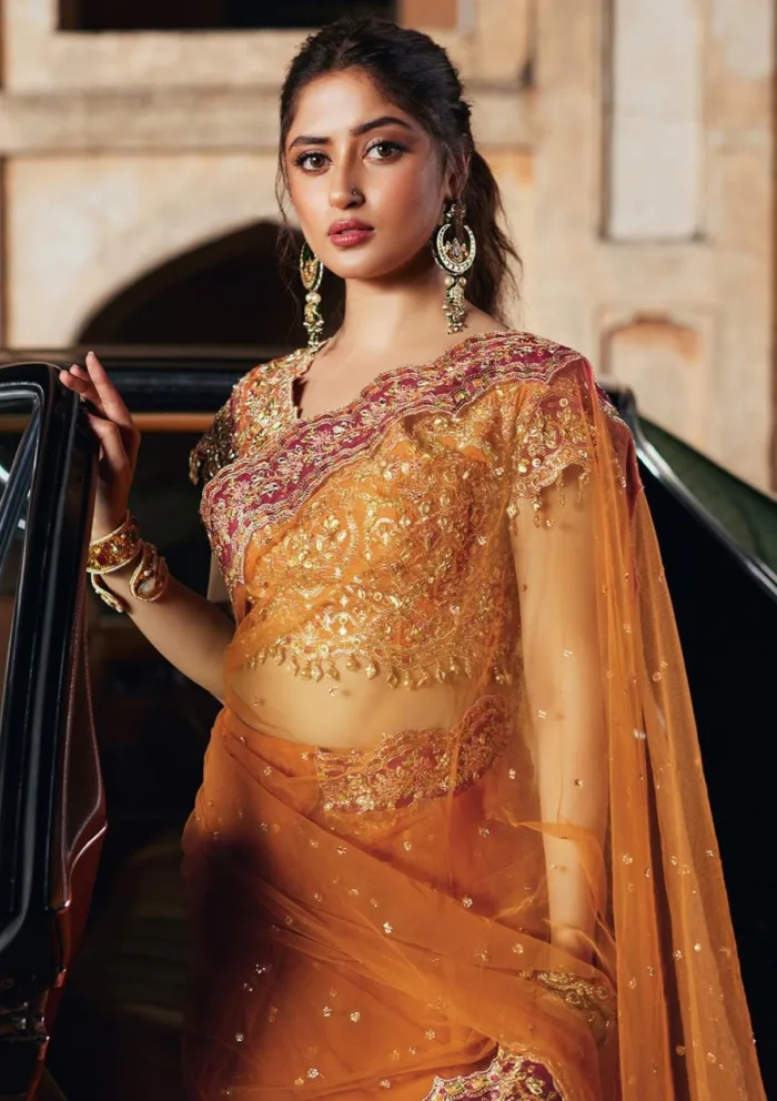 Qalamkar Luxury Formals SH 02 Raniya Shadmani Luxury Lawn Collection - Image 2
