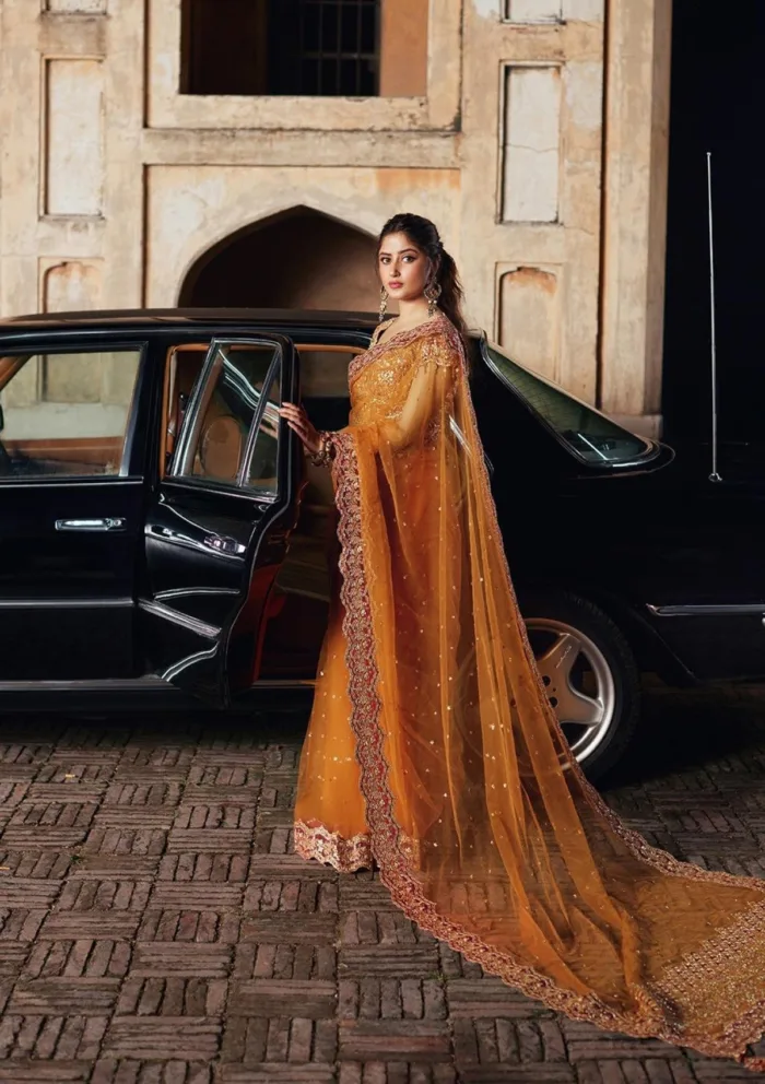 Qalamkar Luxury Formals SH 02 Raniya Shadmani Luxury Lawn Collection - Image 3
