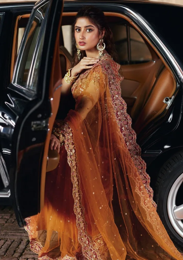 Qalamkar Luxury Formals SH 02 Raniya Shadmani Luxury Lawn Collection - Image 4
