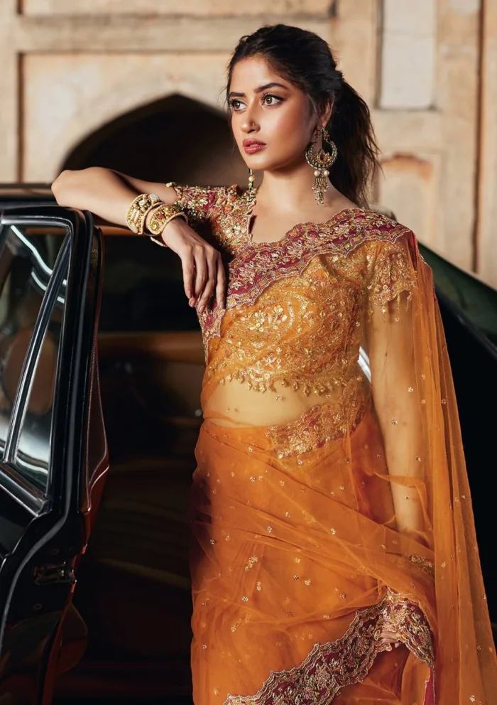 Qalamkar Luxury Formals SH 02 Raniya Shadmani Luxury Lawn Collection - Image 5