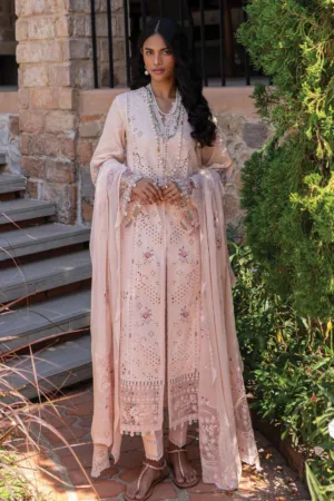 Qalamkar Summer 25 QM 14 NEHA