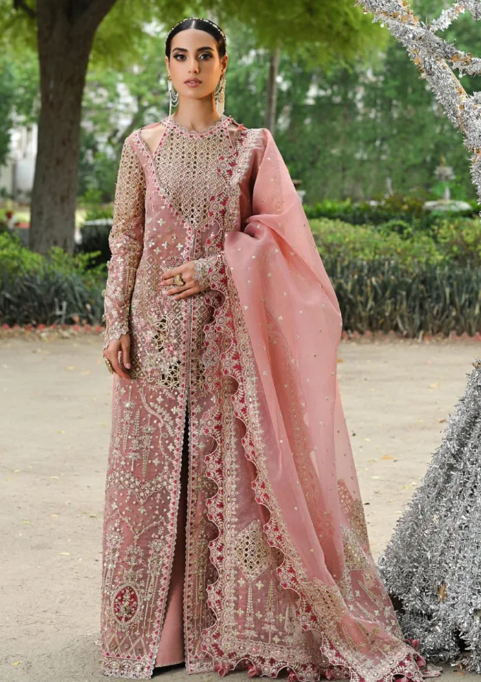Qalamkar Wedding Formals QS24 02 Saleha