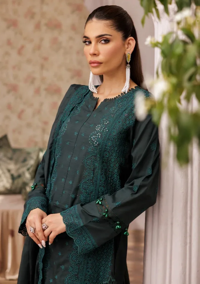 Rajbari D 05 Nissa Chikankari Edition S/S 25 Luxury Lawn Collection - Image 3