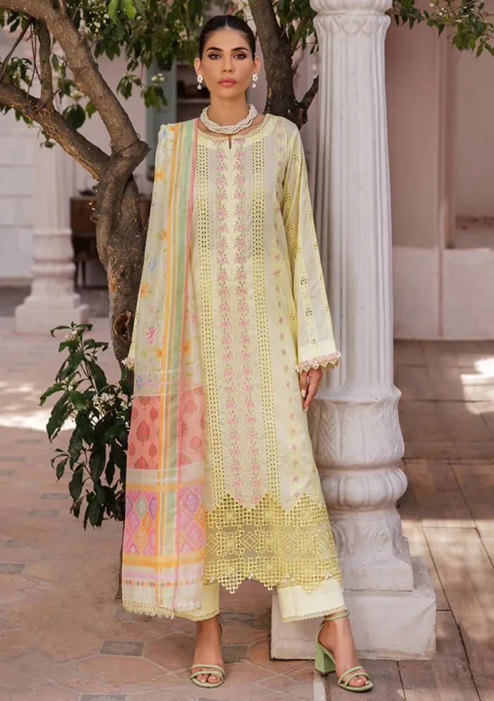 Rajbari D 09 Nissa Chikankari Edition S/S 25 Luxury Lawn Collection - Image 5