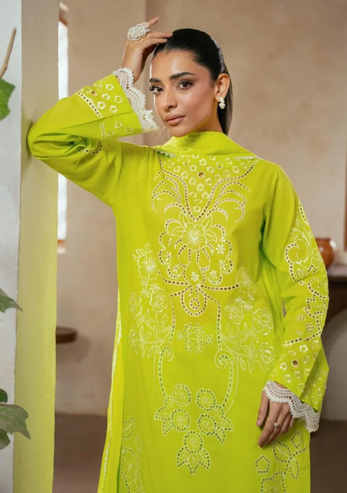 Rajbari Summer Edit 25 D 07 Parisa Luxury Lawn Collection - Image 2