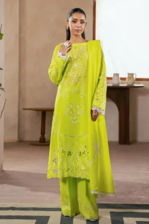 Rajbari Summer Edit 25 D 07