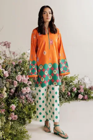 Rajbari Summer Prints Exclusive RSP 11