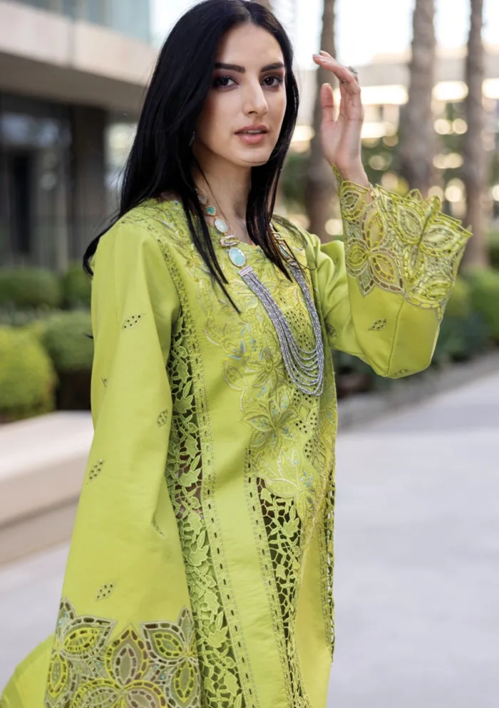 Rang Rasiya Summer Edit 25 RRC 02 Aaleen Carnation Luxury Lawn Collection - Image 4