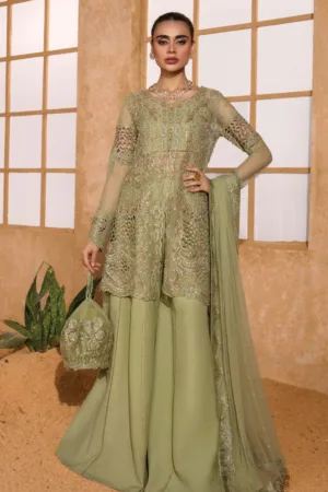 Rang Rasiya Wedding Formals 24 D 10 Mehr