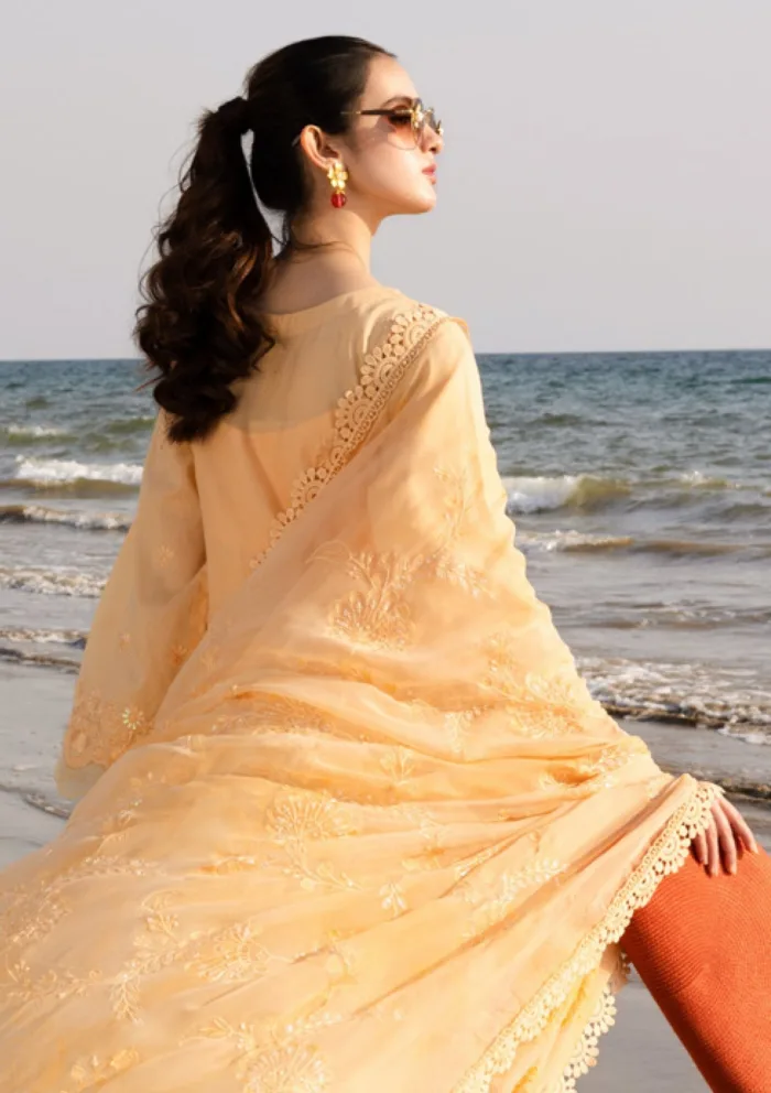 Riaz Arts RT25 430 Tehzeeb Chikankari Luxury Lawn Collection - Image 2