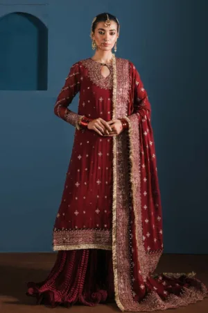Zarqash Festive Chiffon ZQ24 1A GULRUKH