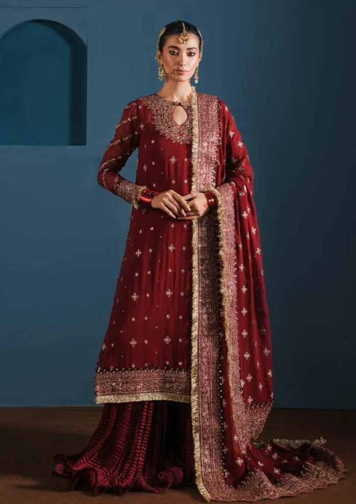 Zarqash Festive Chiffon ZQ24 1A GULRUKH