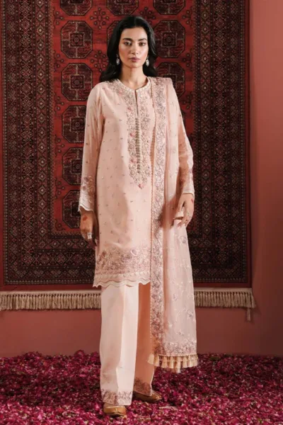 Zarqash Festive Chiffon ZQ24 3B IZEL