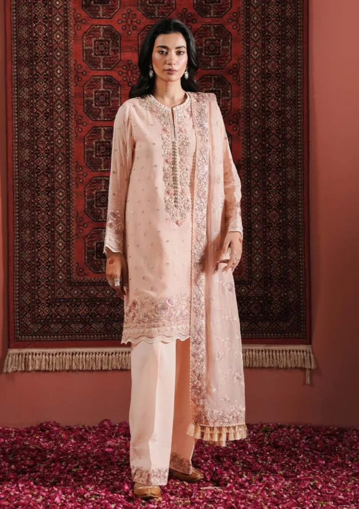 Zarqash Festive Chiffon ZQ24 3B IZEL