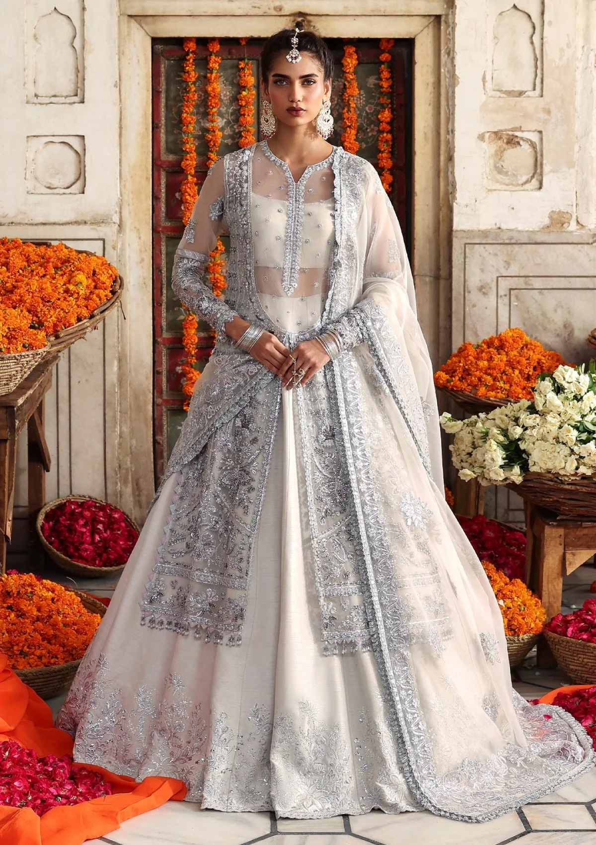 Akbar Aslam D-1605 Safina Rang Mehal Formals Festive 25 1 Akbar Aslam D-1605 Safina