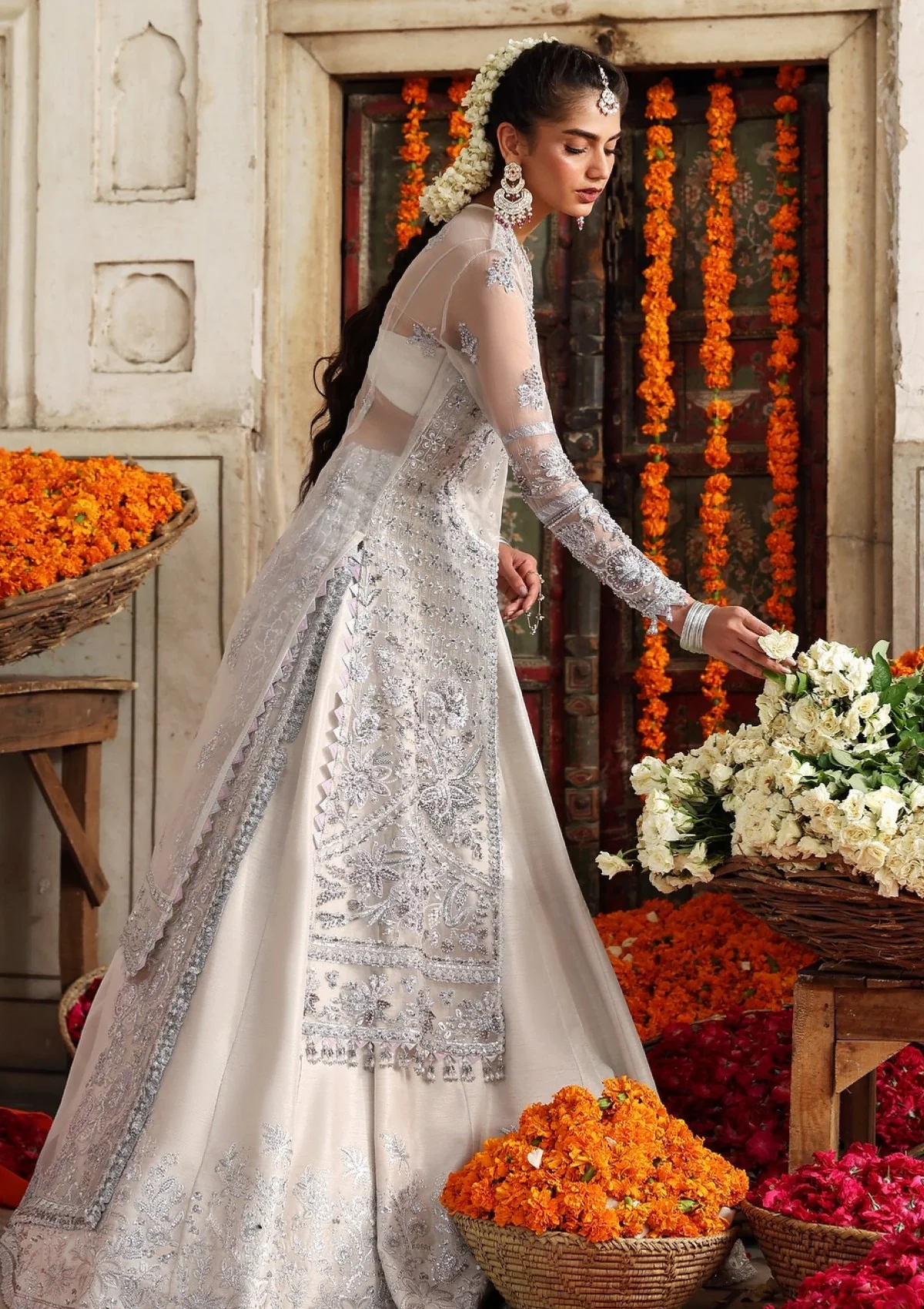 Akbar Aslam D-1605 Safina Rang Mehal Formals Festive 25 4 Akbar Aslam D-1605 Safina