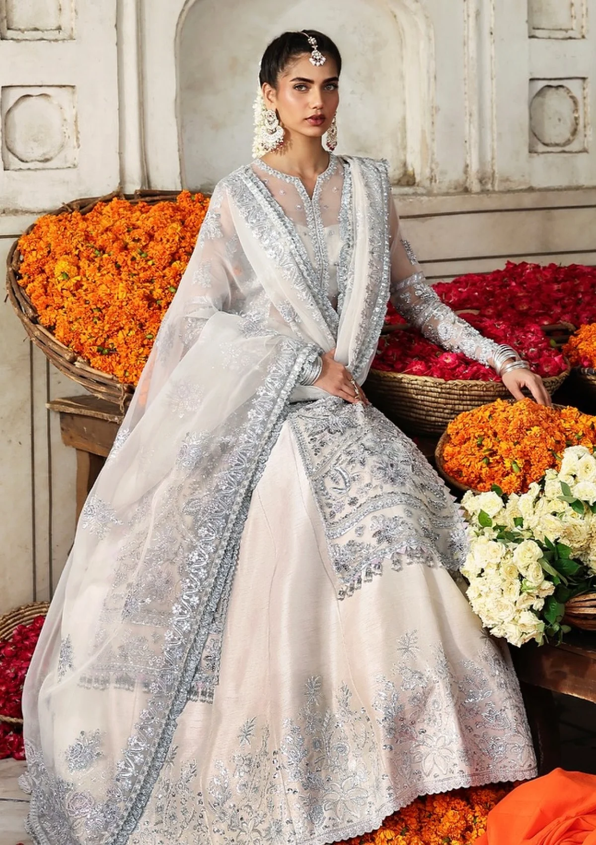 Akbar Aslam D-1605 Safina Rang Mehal Formals Festive 25 3 Akbar Aslam D-1605 Safina