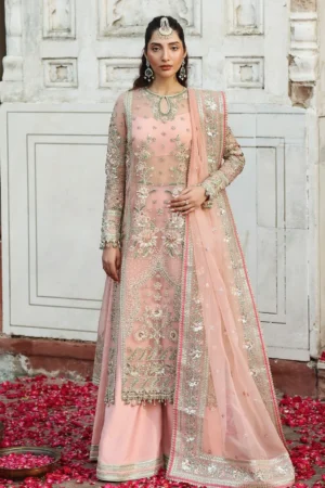 Akbar Aslam D-1608 Naazi Rang Mehal Formals Festive 25