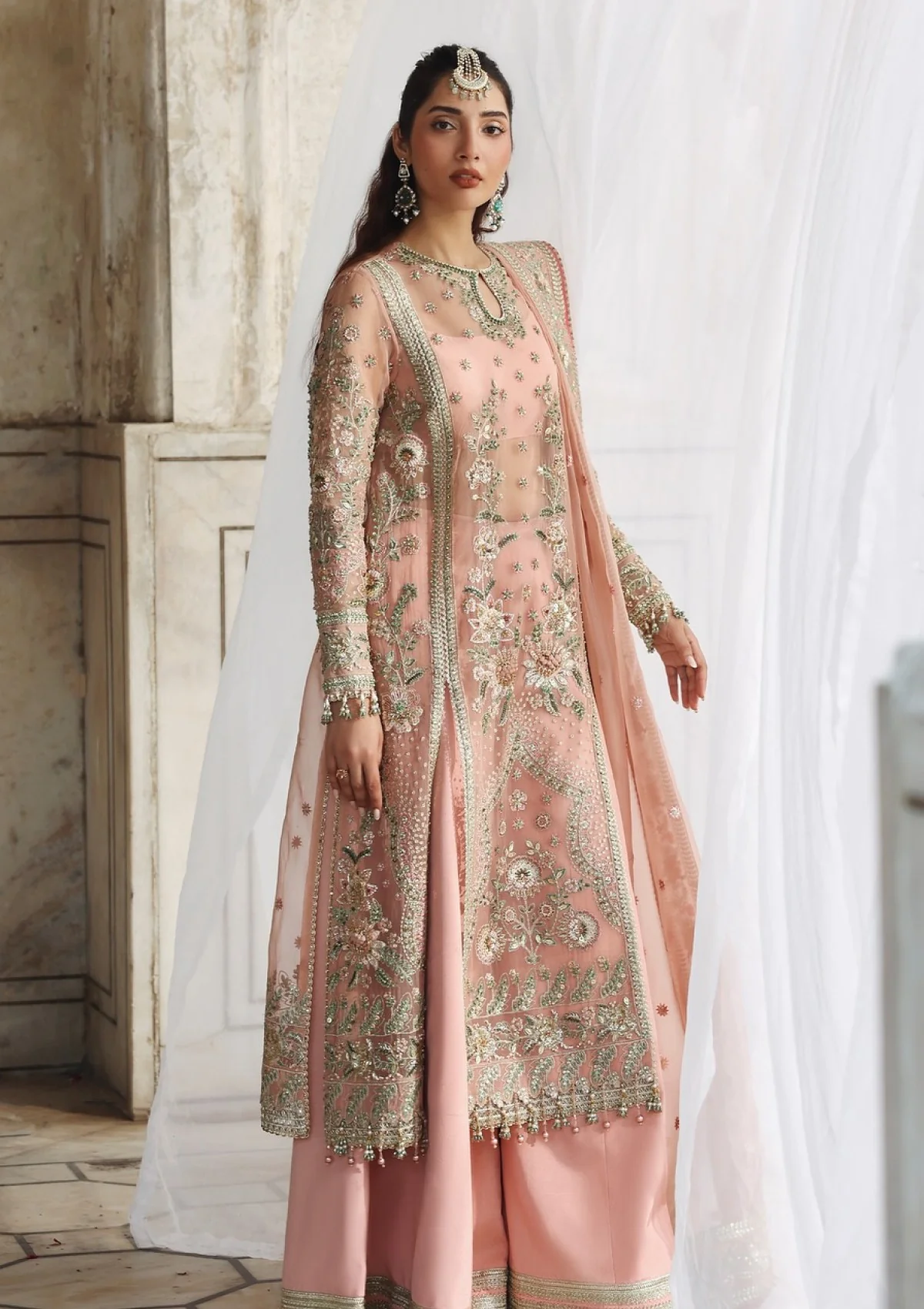 Akbar Aslam D-1608 Naazi Rang Mehal Formals Festive 25 4 Akbar Aslam D-1608 Naazi Rang Mehal Formals Festive 25