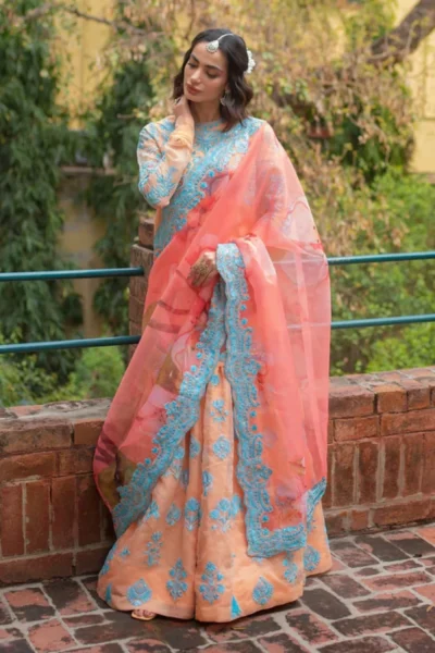 Ali Xeeshan Qudsia Chanda Pret