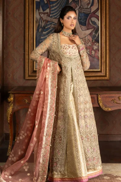 Mushq MWD-104 JHILMIL