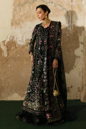 Suffuse Zabeen Freeshia