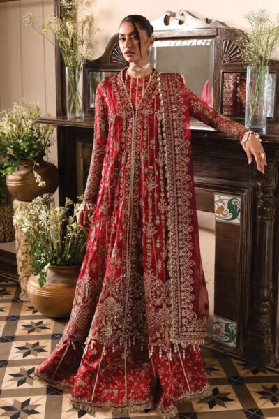 Afrozeh Dastangoi Awe-02 Tearose Formals Collection