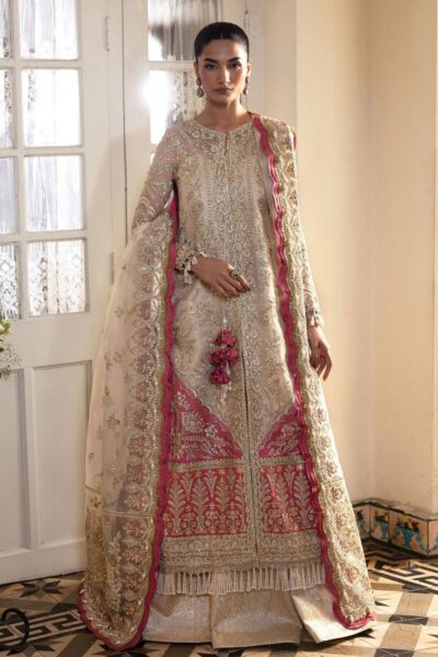 Afrozeh Dastangoi Awe-07 Silkdawn Formals Collection