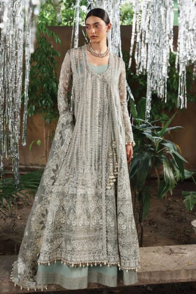 Afrozeh Dastangoi Awe-10 Candlenight Formals Collection